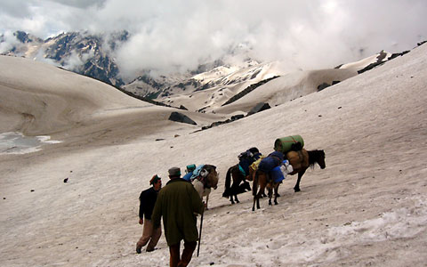 Bhabha Pass Trek