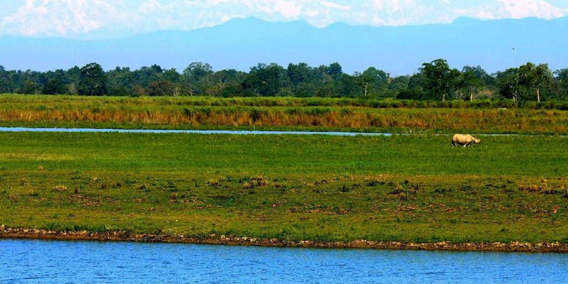SHILLONG – KAZIRANGA 265 kms / 7 hrs