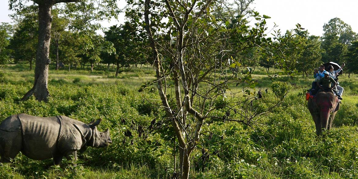 CHITWAN NATIONAL PARK