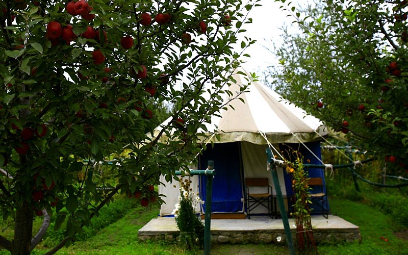 Deluxe Swiss Cottage Tents
