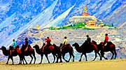 Camel ride at  Hunder with Deskit Gompa as a backdrop