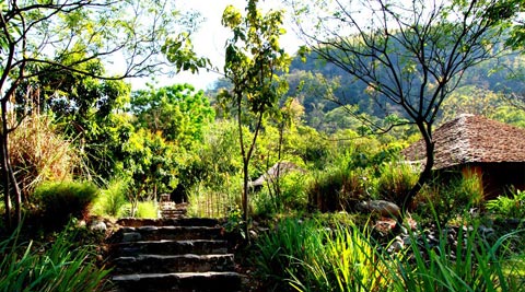 VANGHAT - CORBETT NATIONAL PARK