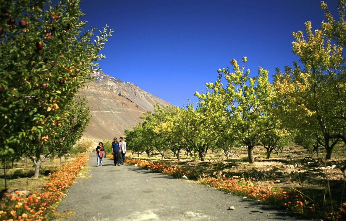 Hiking with local experiences